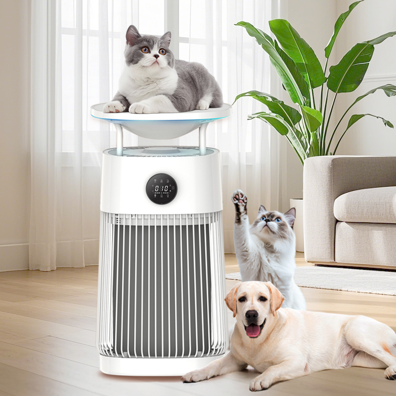Smart Home Dan - Purificateur d'air portable avec filtre HEPA