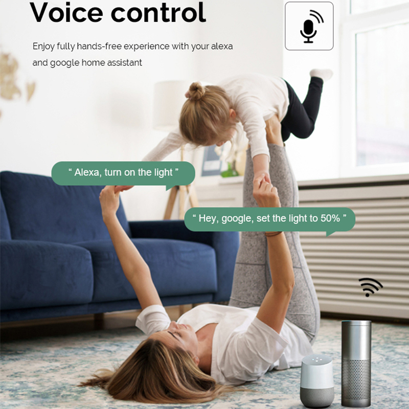 Module d'interrupteur intellig - Smart Home Voice Assistant avis et prix