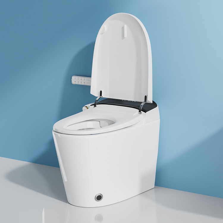 WC intelligent à capteur de ch - Smart Home Decor avis et prix