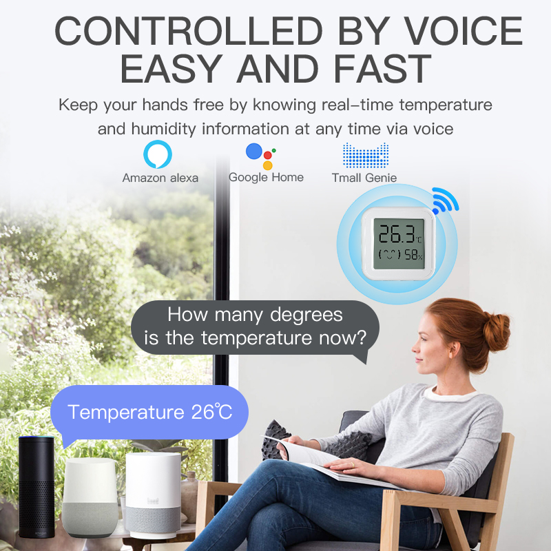 Capteur de température et d'hu - Smart Home Voice Assistant avis et prix