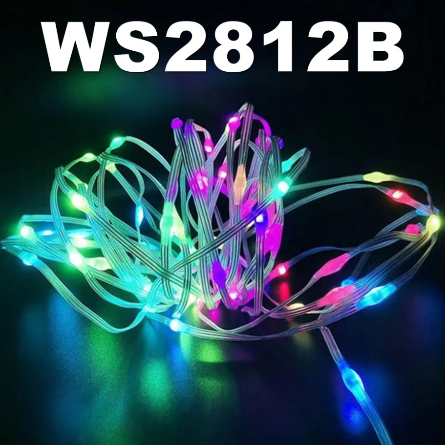 WS2812B LED chaîne lumineuse i - Smart Home Decor avis et prix